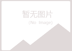 丽江雅山化学有限公司